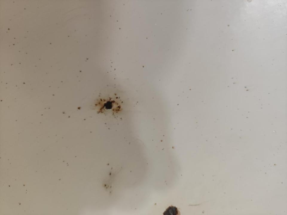 浴缸與淋浴裝修案件圖片