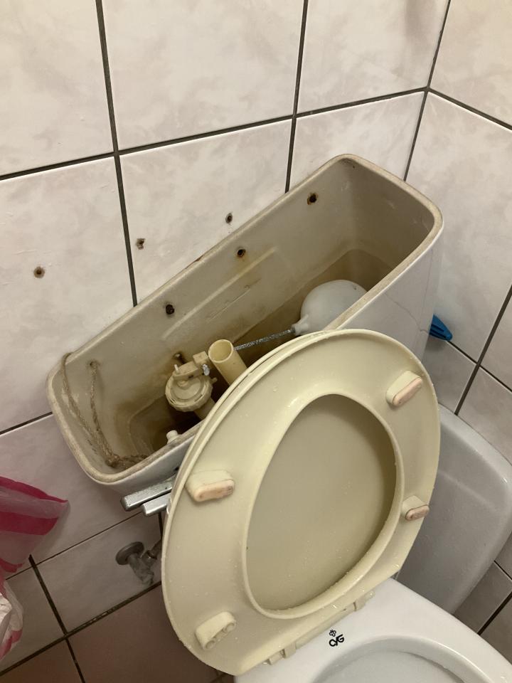 馬桶裝修案件圖片