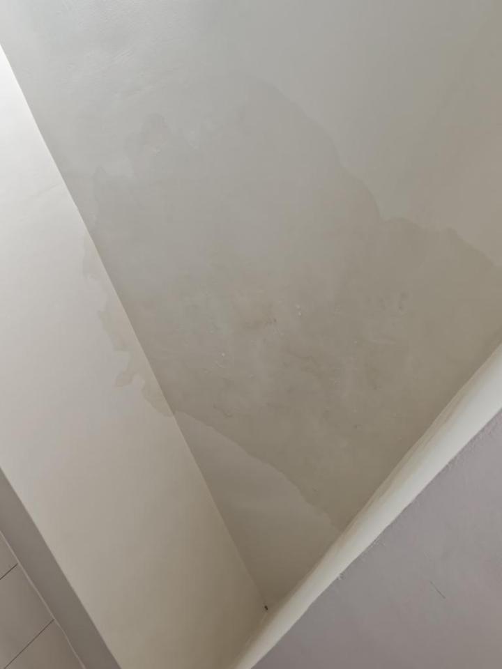 抓漏案件圖片