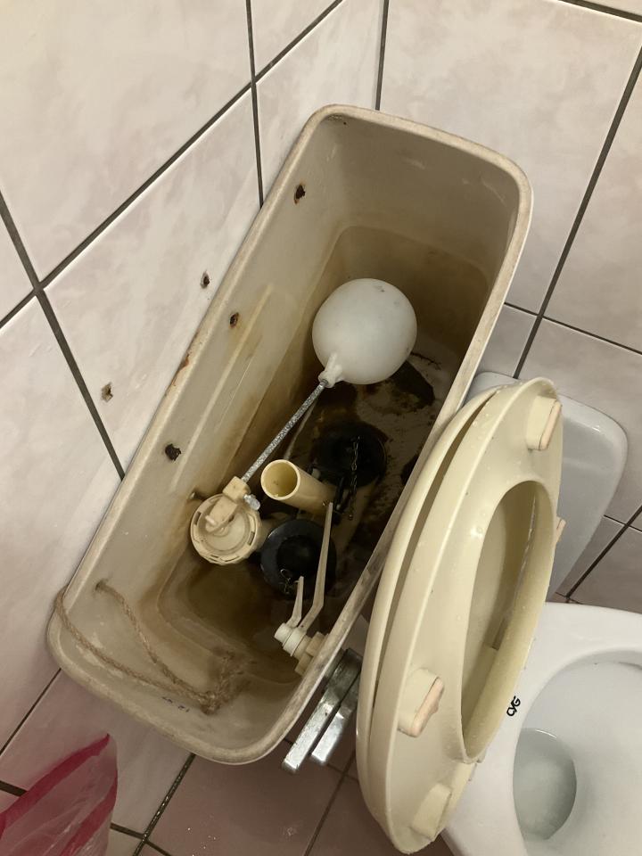 馬桶裝修案件圖片