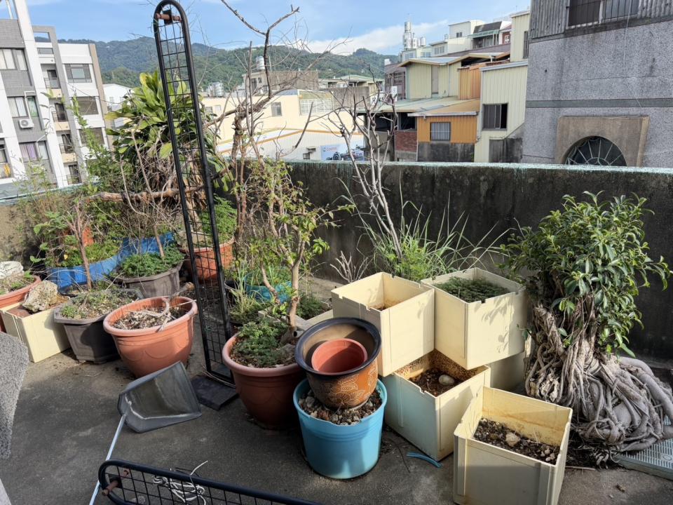 園藝維護案件圖片