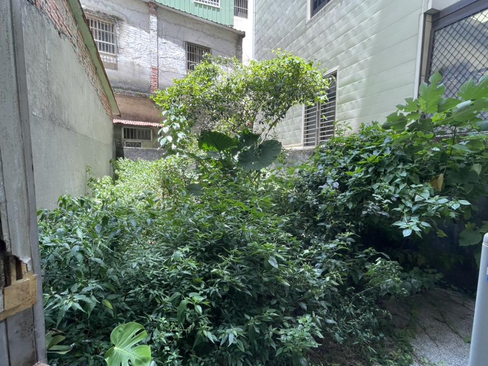 園藝維護案件圖片
