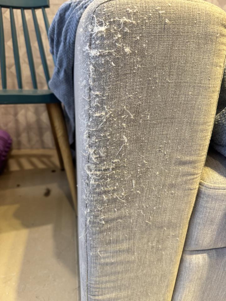 沙發修理案件圖片