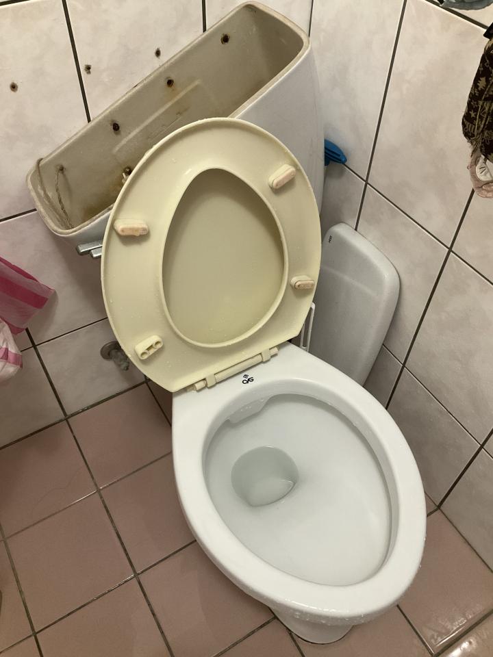馬桶裝修案件圖片