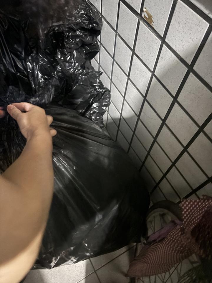 大型垃圾回收案件圖片