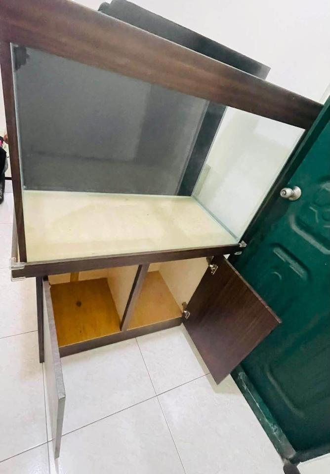 載貨運輸服務案件圖片