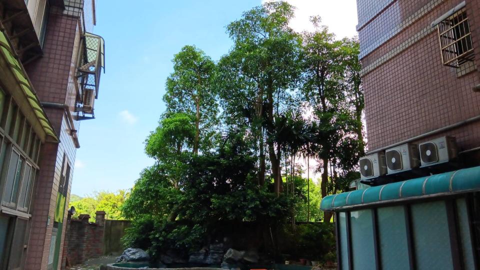 園藝維護案件圖片