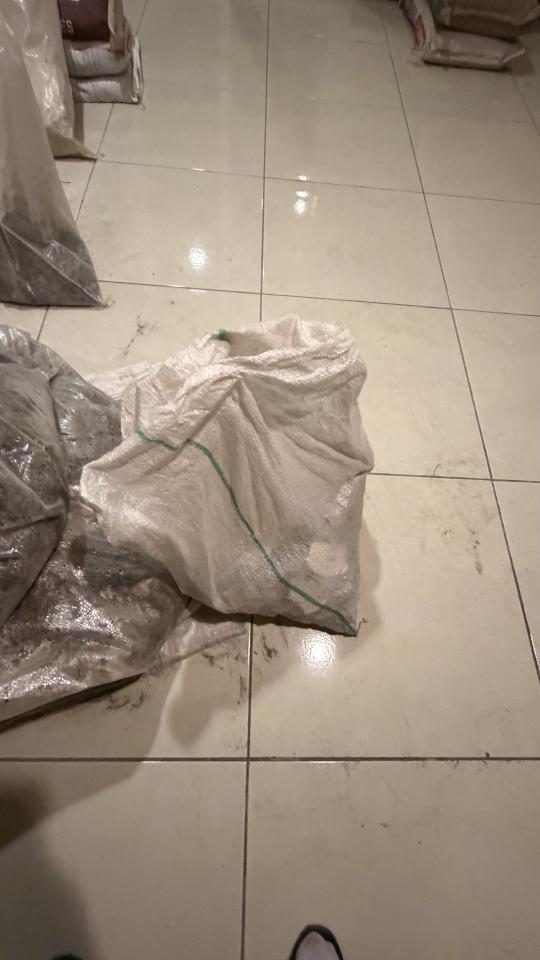 大型垃圾回收案件圖片