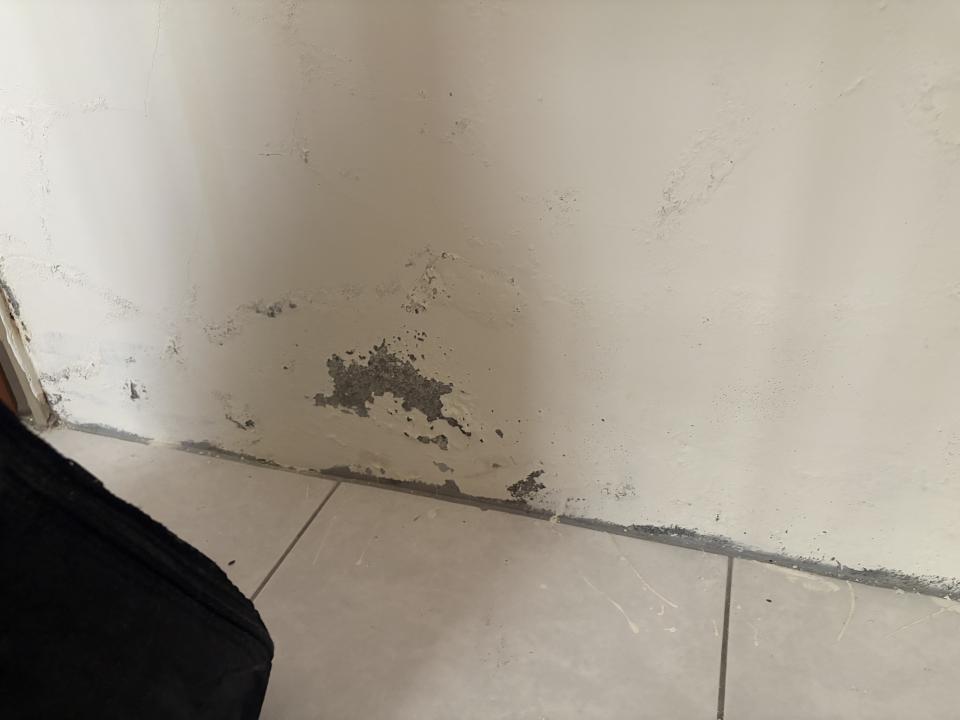 壁癌處理案件圖片
