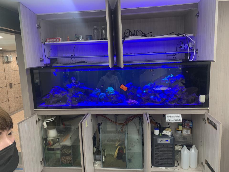 魚缸設計案件圖片