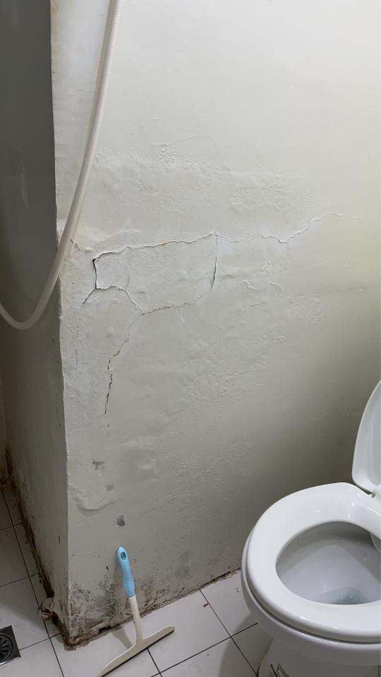 油漆工程案件圖片