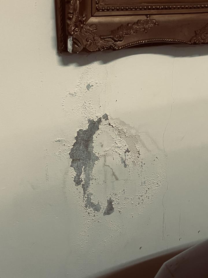 壁癌處理案件圖片