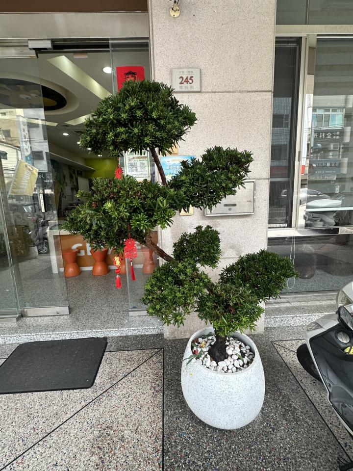 園藝維護案件圖片