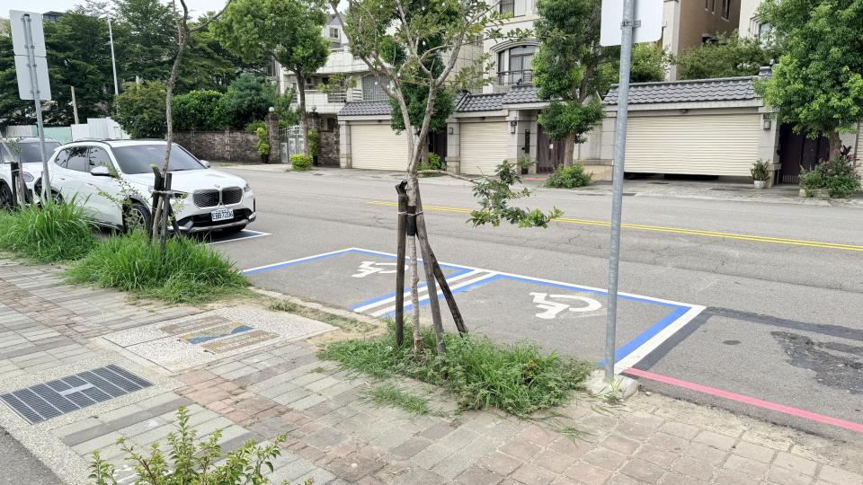 園藝維護案件圖片