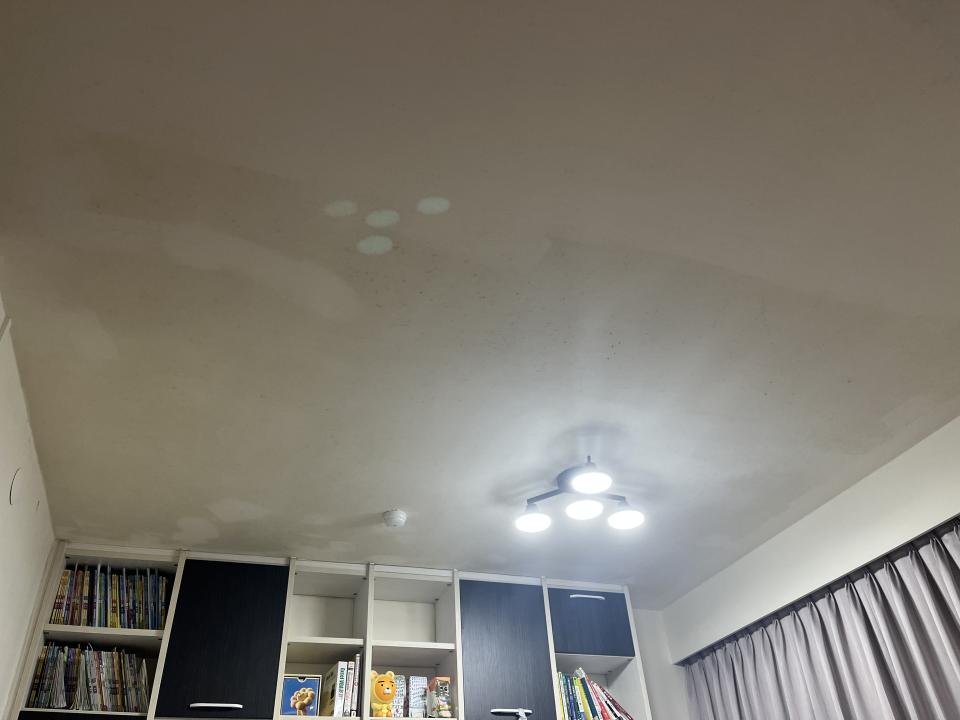 油漆工程案件圖片