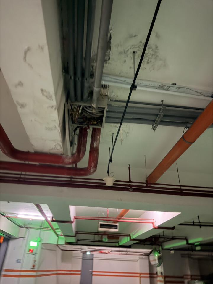 抓漏案件圖片
