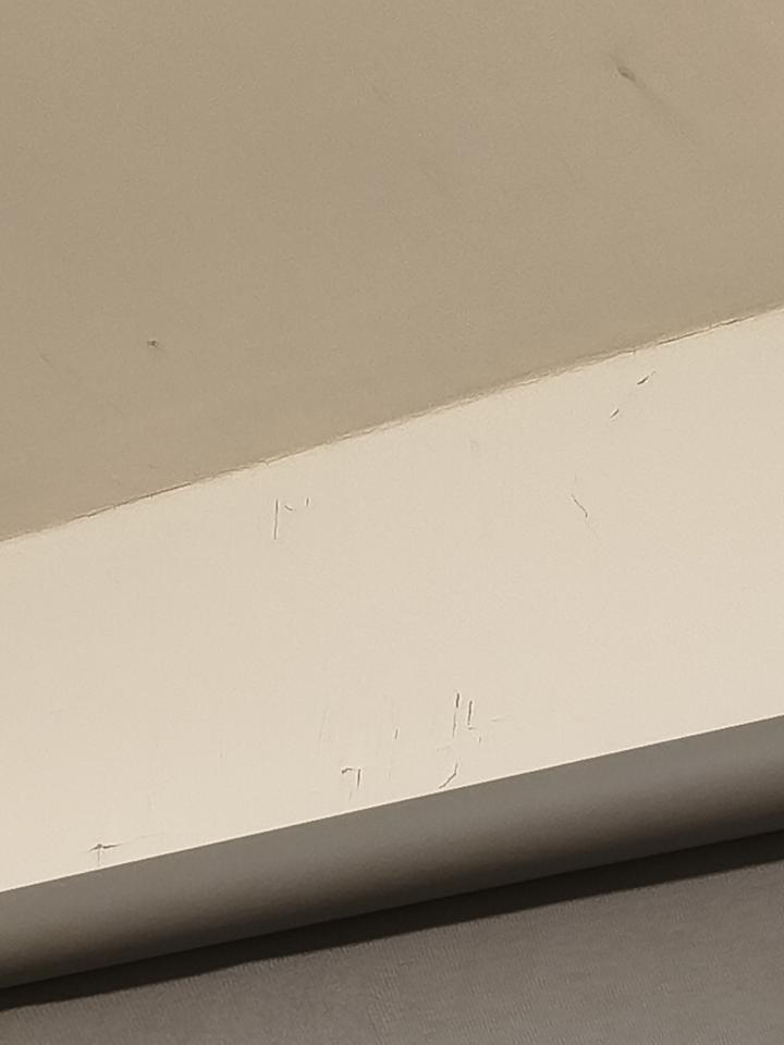 油漆工程案件圖片