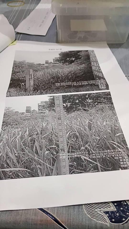 園藝維護案件圖片