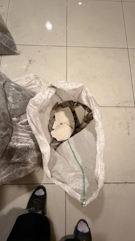 大型垃圾回收案件圖片