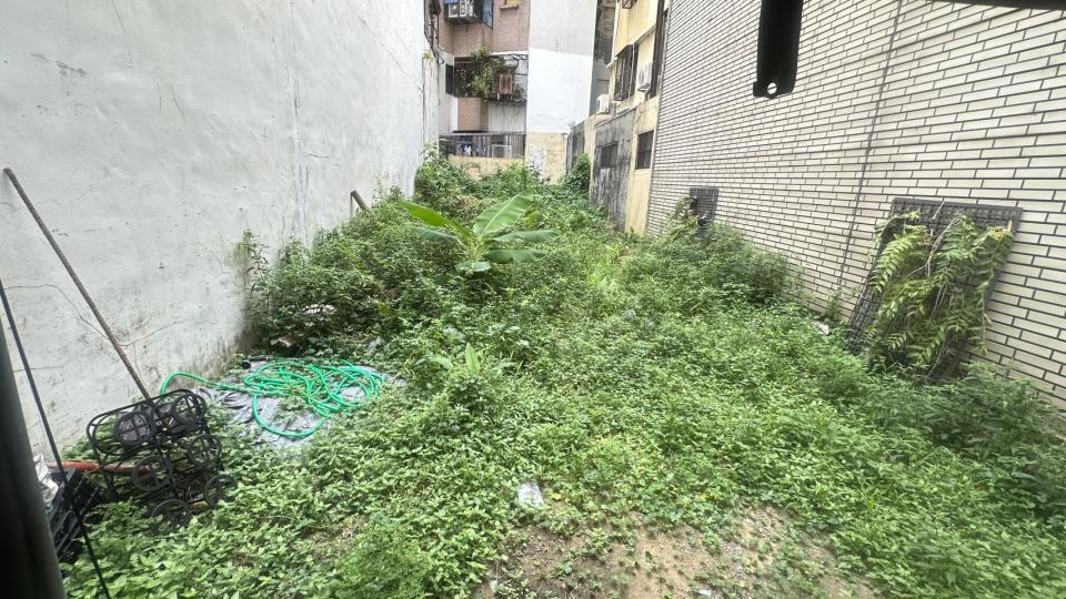 園藝維護案件圖片