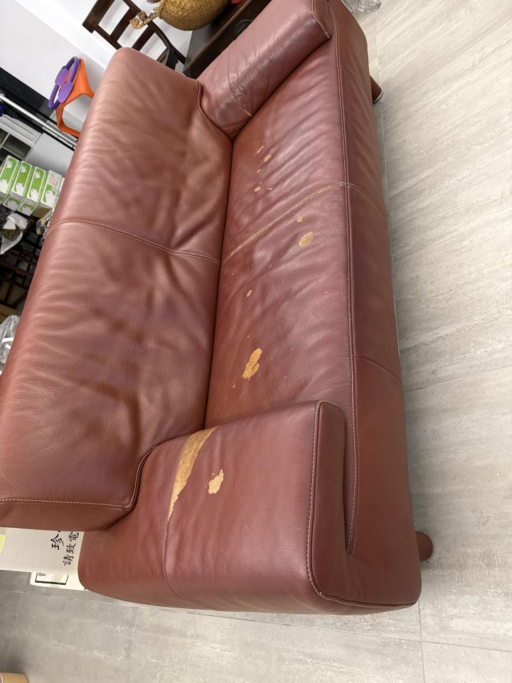 沙發修理案件圖片