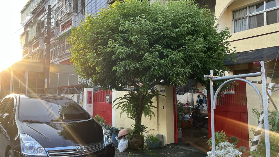 園藝維護案件圖片