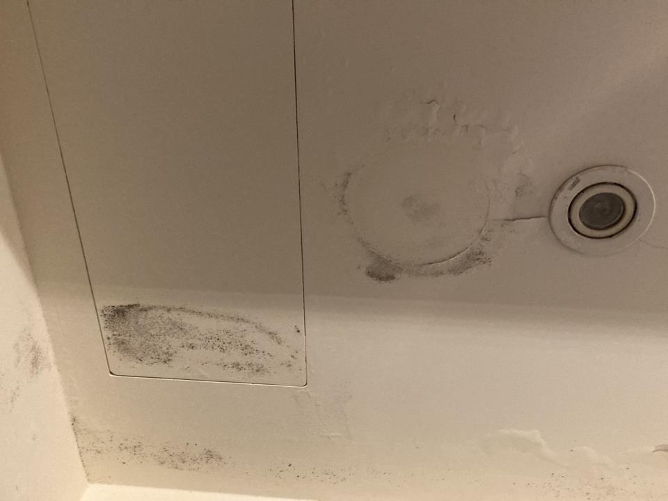 除霉案件圖片