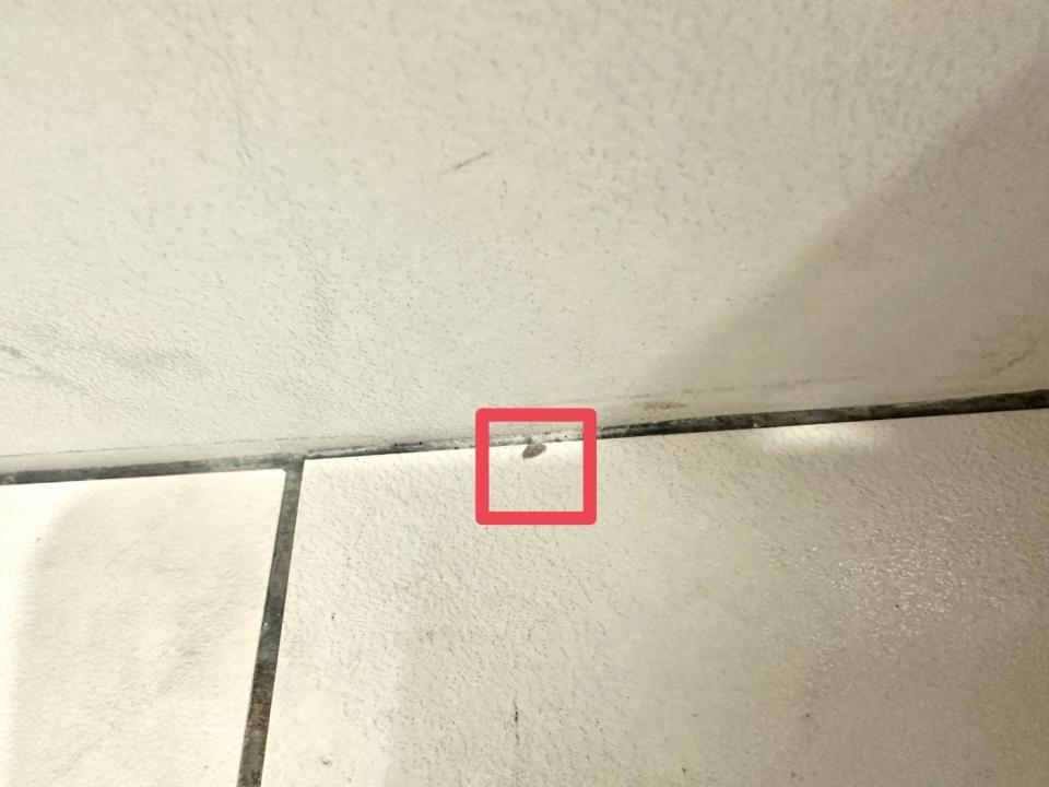 磁磚修補案件圖片