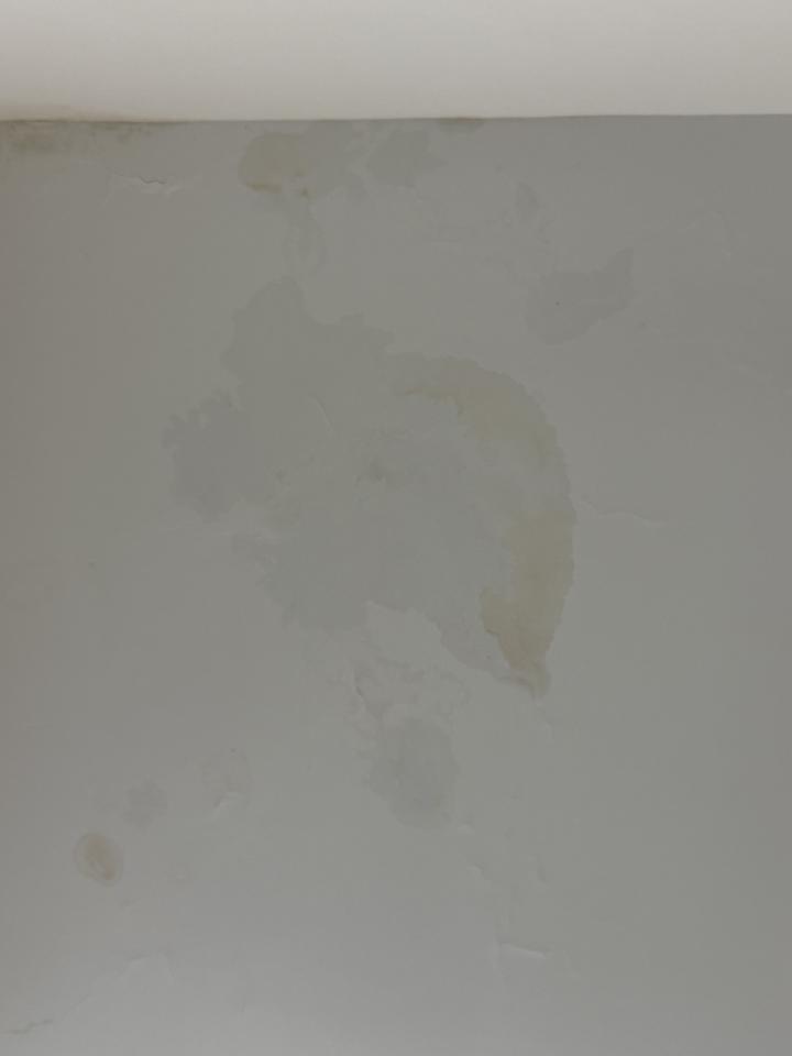 抓漏案件圖片