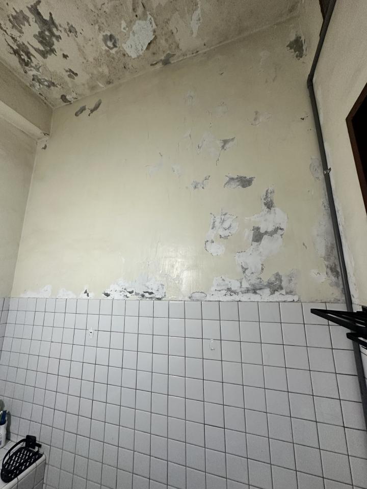 油漆工程案件圖片
