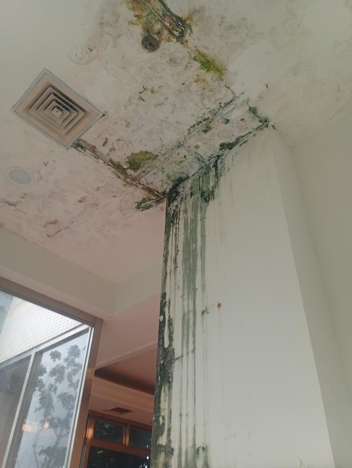 漏水處理案件圖片
