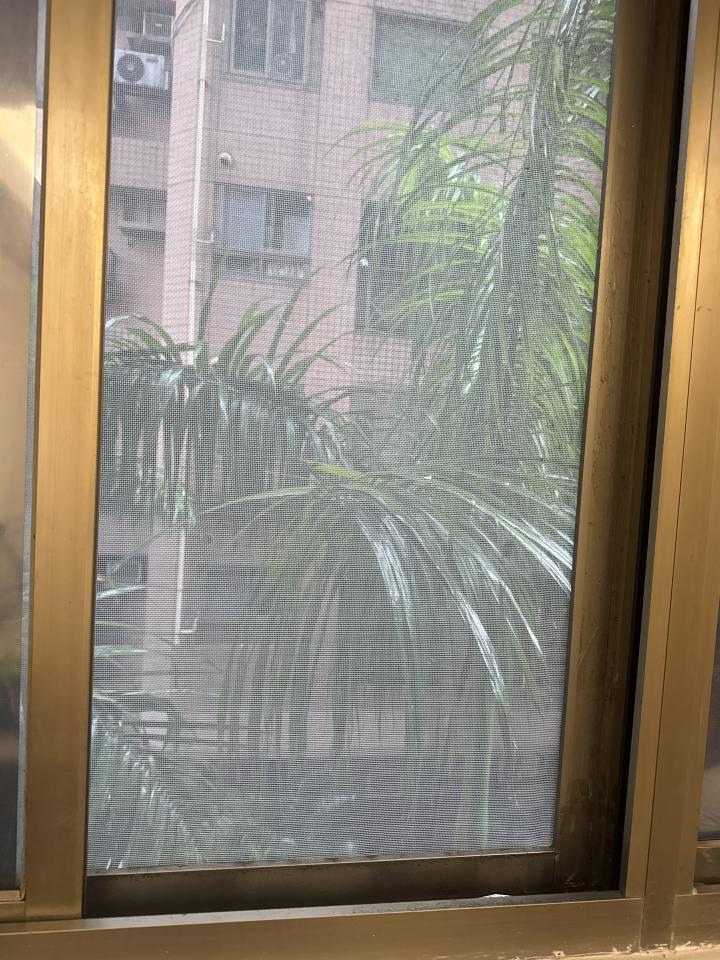 園藝維護案件圖片