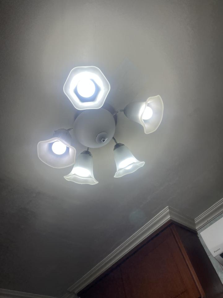 燈具安裝案件圖片