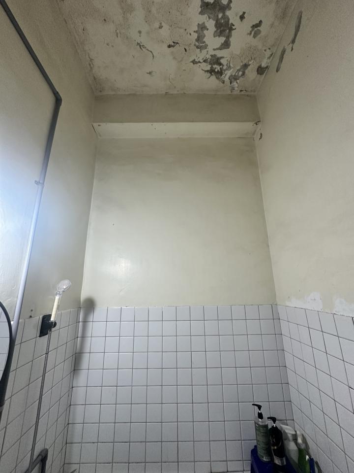 油漆工程案件圖片