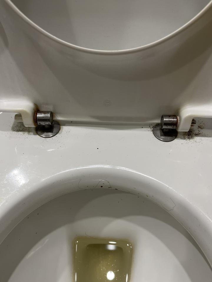 馬桶裝修案件圖片