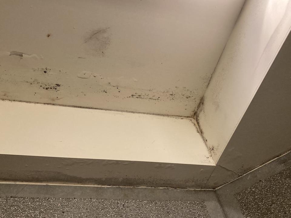 除霉案件圖片