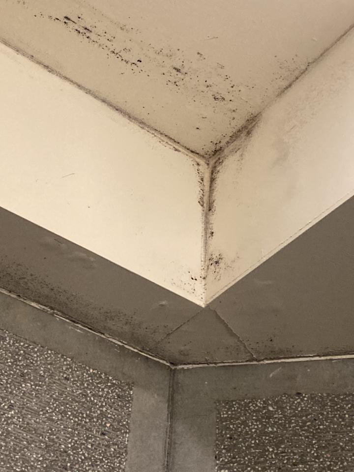 除霉案件圖片