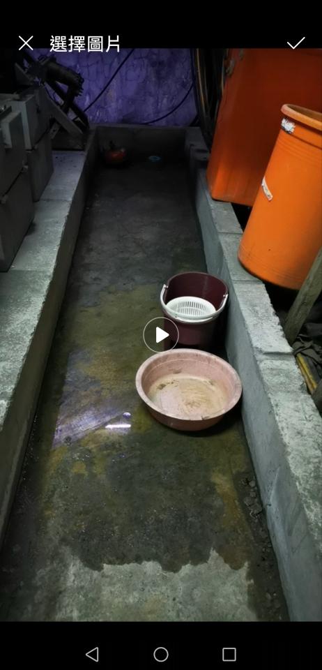 抓漏案件圖片