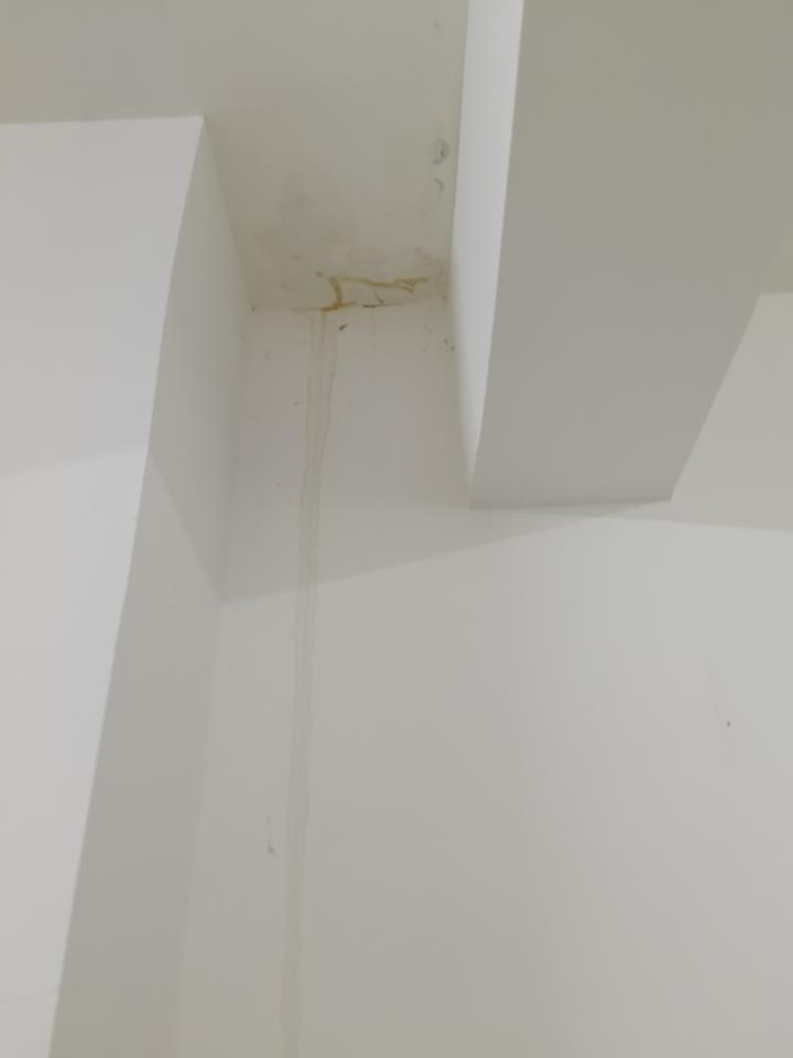 抓漏案件圖片