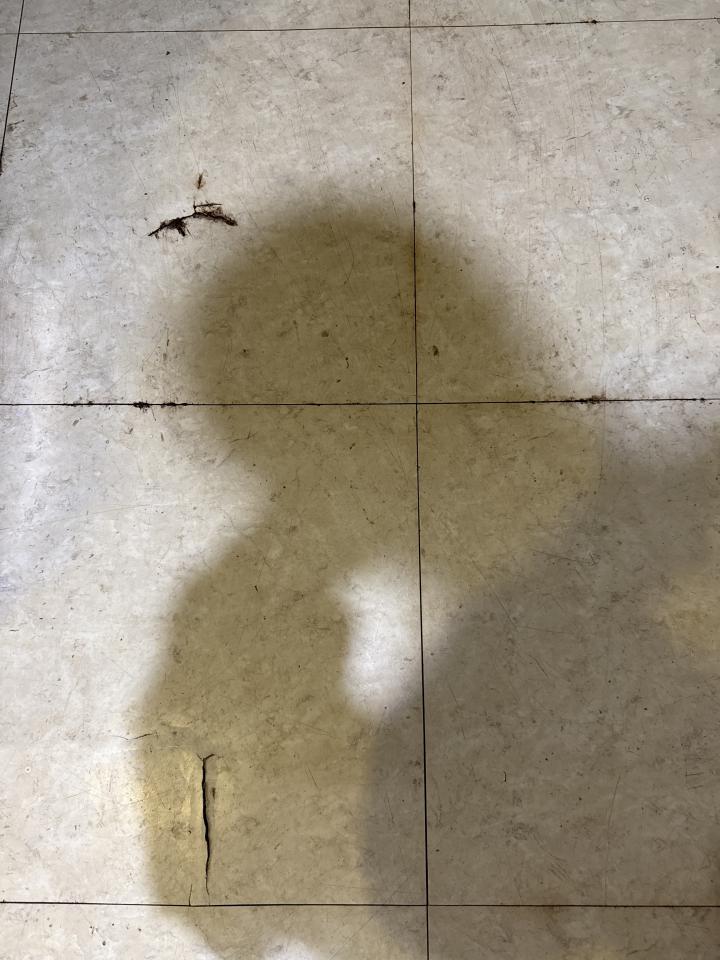 地板維修案件圖片