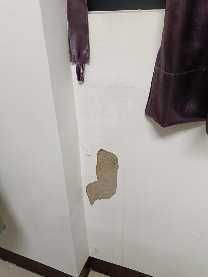 抓漏案件圖片
