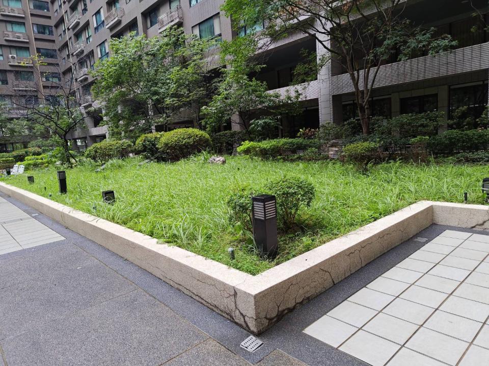 園藝維護案件圖片