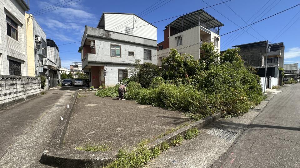 園藝維護案件圖片