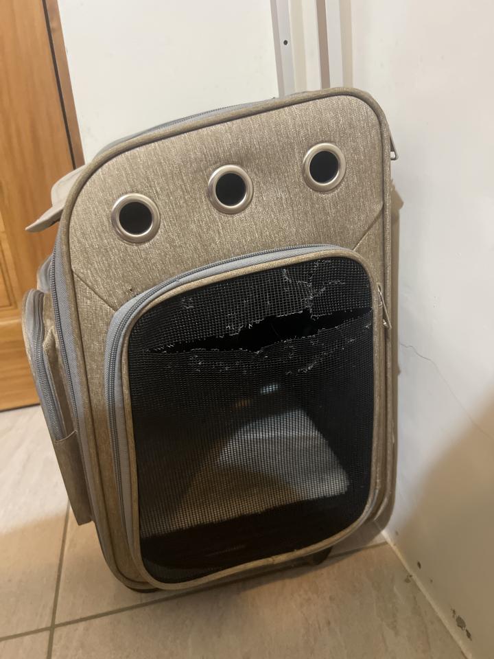 修鞋修包案件圖片