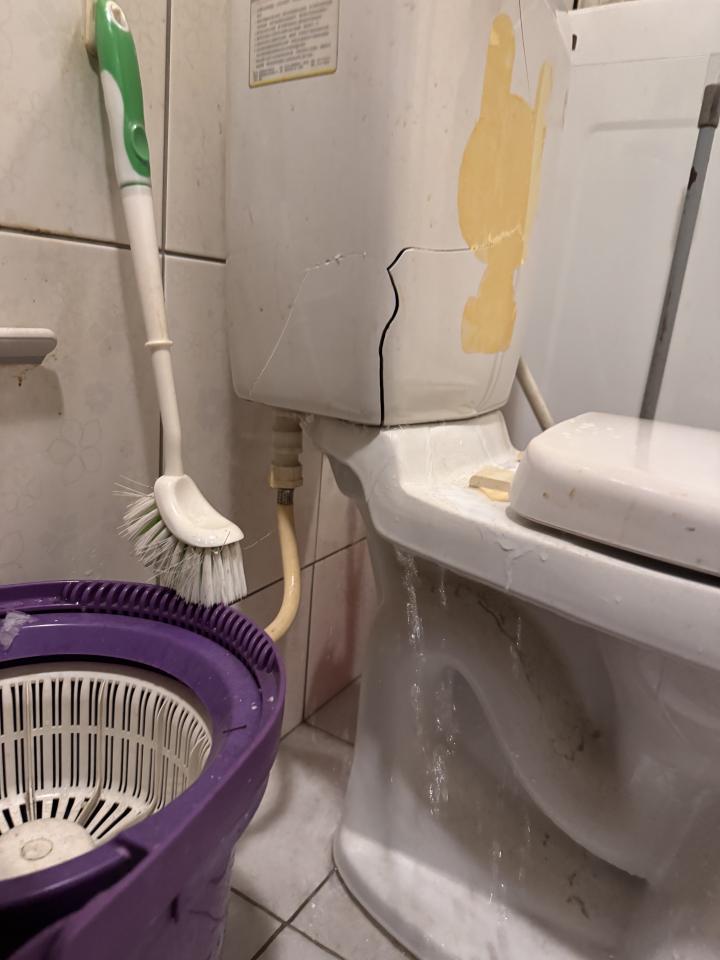 馬桶裝修案件圖片