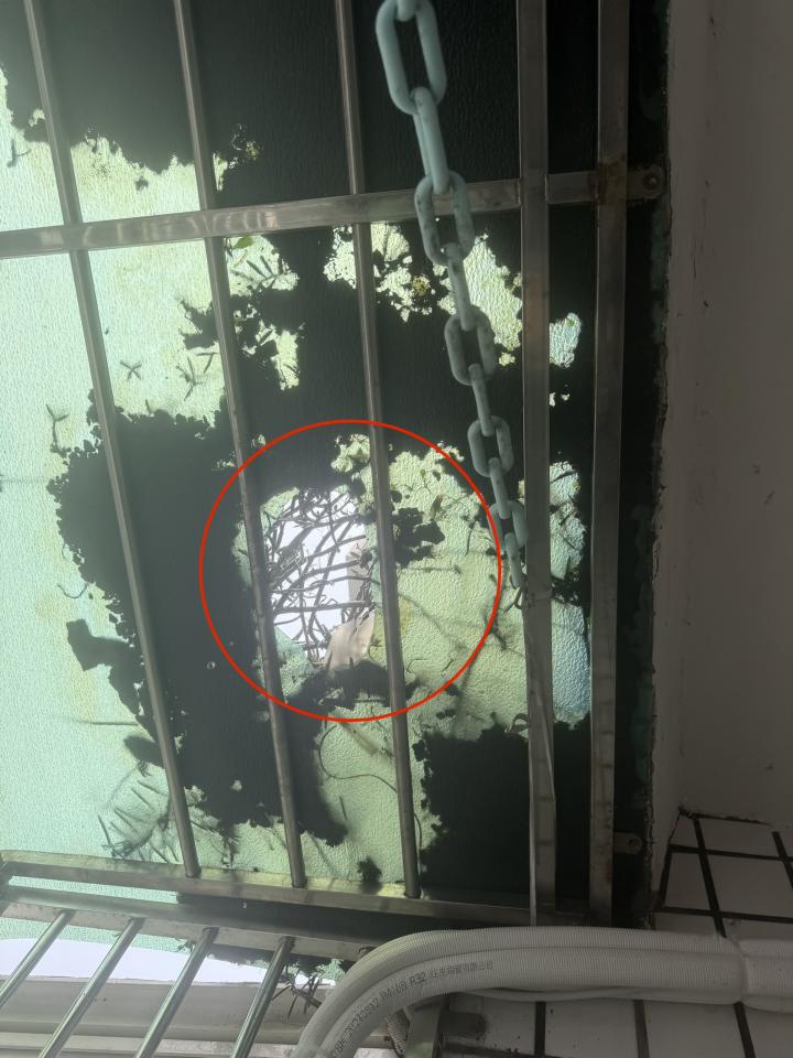 遮雨棚安裝案件圖片