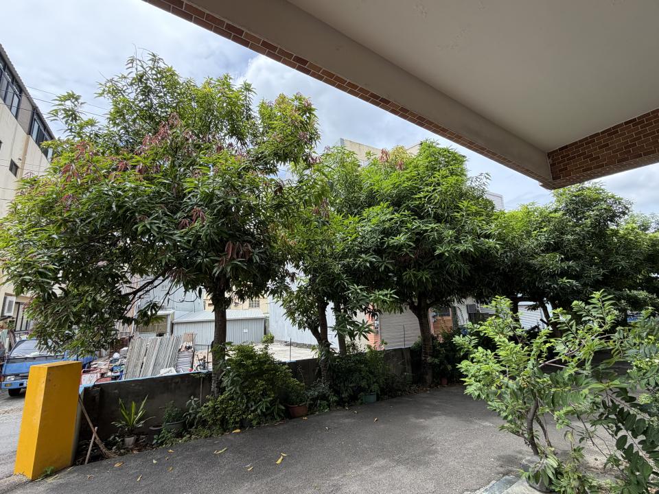 園藝維護案件圖片