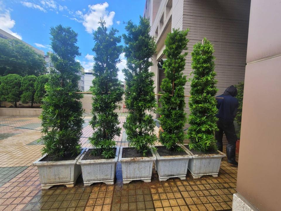 花園自動灑水系統案件圖片
