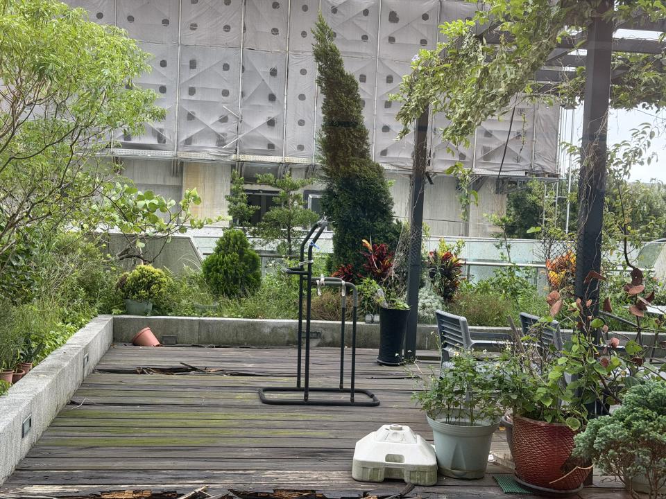 園藝維護案件圖片