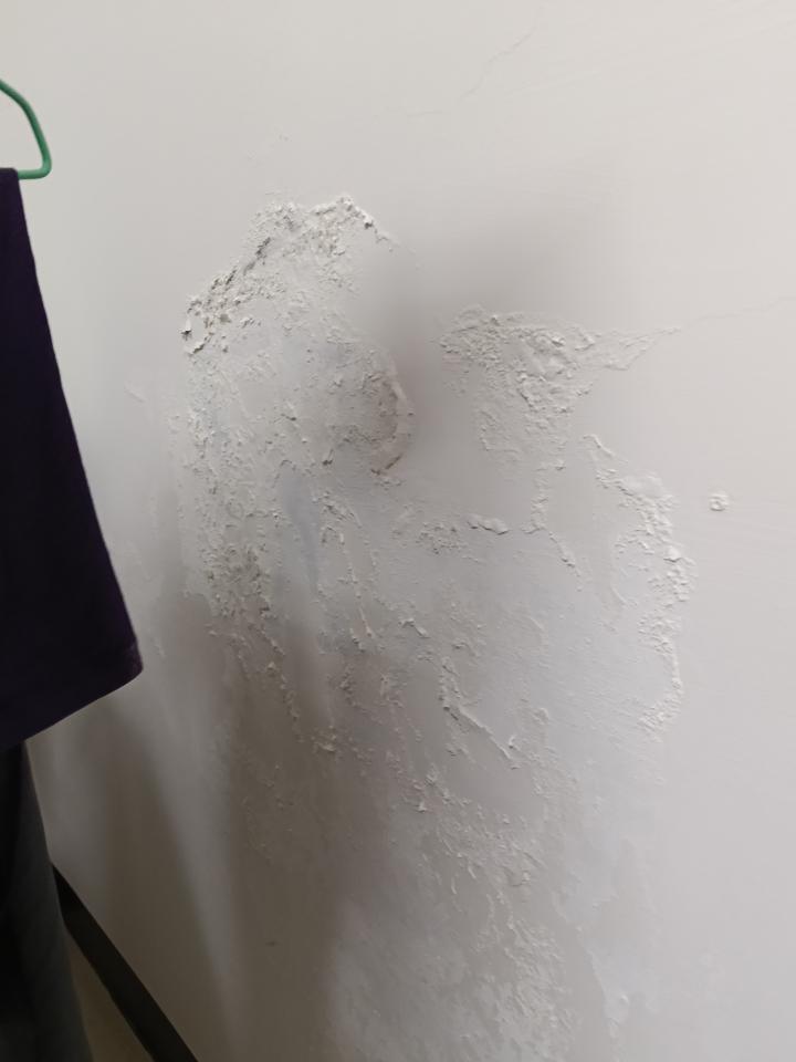 抓漏案件圖片